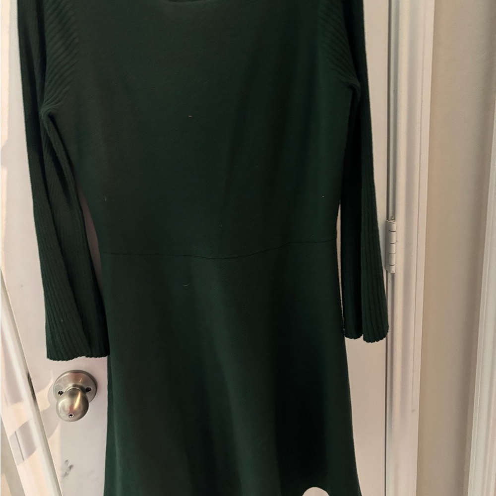 Ann Taylor Emerald Flare Sleeve Sweater Dress